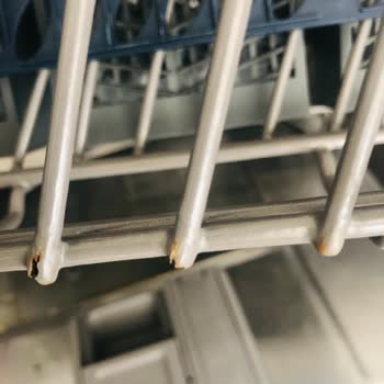 Samsung Bulaşık Makinesinin Sepetinin Küflenmesi