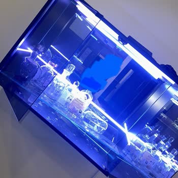 Neptün Neon Design Parayı Alana Kadar İlgili