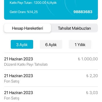 Türkiye Hayat Emeklilik Beş Katkı Payı Provizyon Sorunu