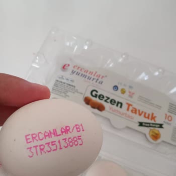 Ercanlar Yumurta Farklı Ürün Satışı