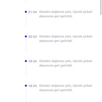 Shein Siparişi Problemi