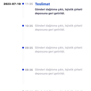 Shein Siparişi Problemi
