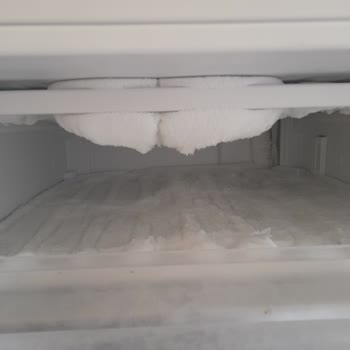 Vestel Derin Dondurucu Mağduru