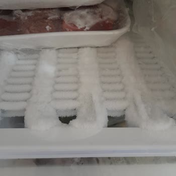 Vestel Derin Dondurucu Mağduru