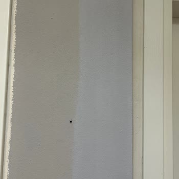 Marshall Boya'dan Aldığım Gri Boya İstedim, Ama Mavi Renk Çıktı