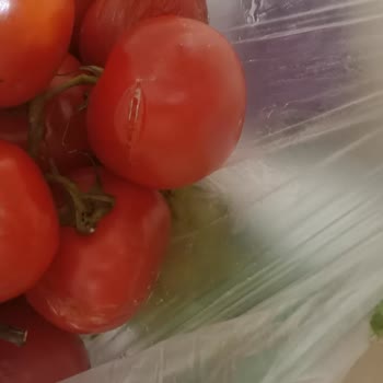Getir Para İadesi Yapmıyor Resmen İnsanı Oyalıyor