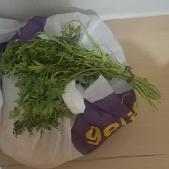 Getir Para İadesi Yapmıyor Resmen İnsanı Oyalıyor
