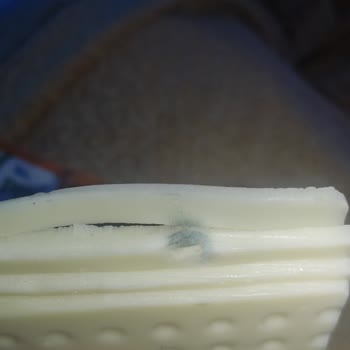 Küflü Pınar Peynir