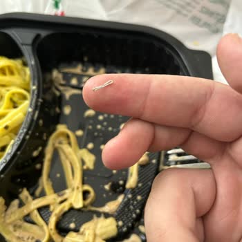 Green Salads Yemeğin İçinden Tel Zımba Çıktı