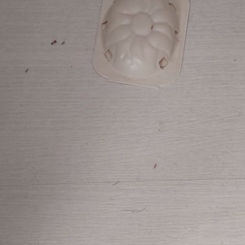 Raid Tablet Karınca Yemi İşe Yaramıyor