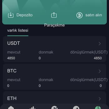 Freelancer.com Flow Adlı Sitede Para Yatırdım Ve Paramı Nasıl Çekebilirim?