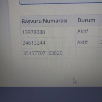 BTK (Bilgi Teknolojileri ve İletişim Kurumu) IMEI Kayıt Sorunu