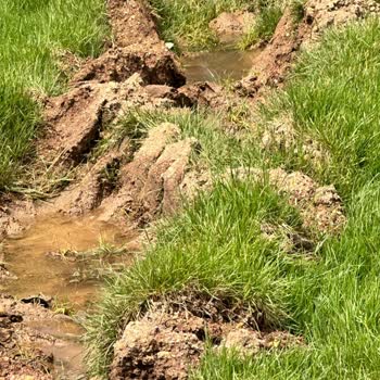 Baturz Tuin Leven Peyzajdan Asla Anlamayan Firma