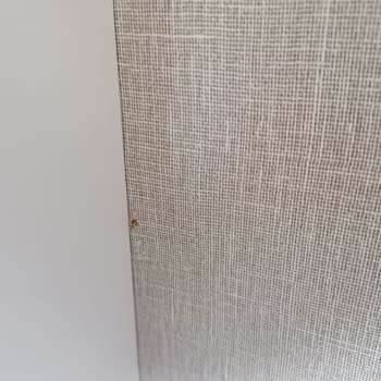 Kelebek Mobilya Kelebek Silivri Şube Lidya Yatak Odası Takımı