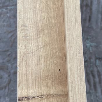 Avokado Konsept Ayıplı Ürün Gönderimi WhatsApp Ve Telefonla İletişim Kurulamama.