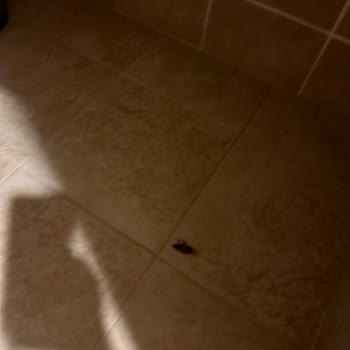 Oscar Resort Hotel Oscar Resort Otel Hijyen Sorunu