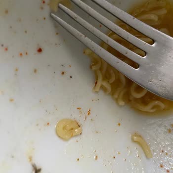 İndomie Noodle İçinde Ölü Sinek