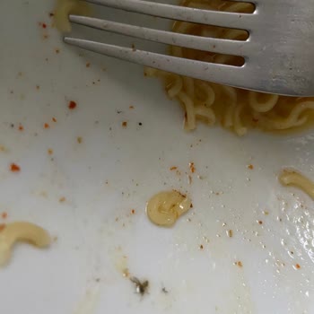 İndomie Noodle İçinde Ölü Sinek