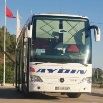 Ayar Aydın Seyahat Aydın Seyahat, Araçta Böcekler Var.