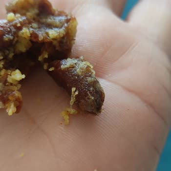 Eskafit Hurma Çekirdeği Çıktı İçinden