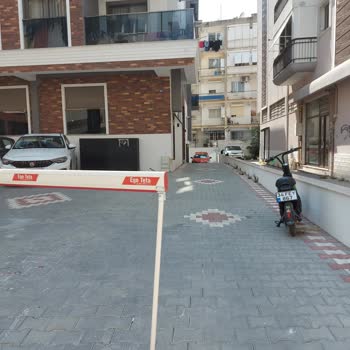 Martı Özel Otoparkıma Parkediyor