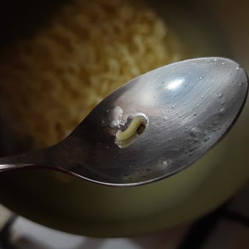 İndomie Spesiyal Noodle De Böcek Çıkması