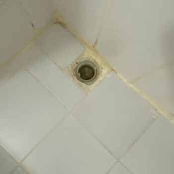 Mese Suites Otel İlgisizliği