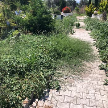 İzmir Büyükşehir Belediyesi Kuşçular Deve Deresi Mezarlığı Çok Kötü Durumda