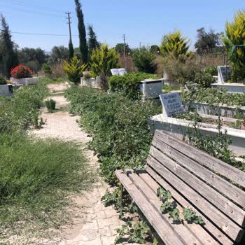 İzmir Büyükşehir Belediyesi Kuşçular Deve Deresi Mezarlığı Çok Kötü Durumda