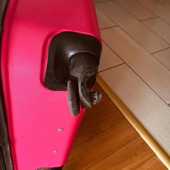 Watsons'tan Valiz Aldım, Tekerlekleri Çıktı Muhatap Bulamıyorum