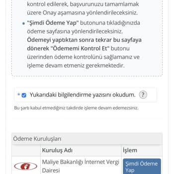 E-Devlet (Turkiye.gov.tr) IMEI Kaydı Sorunu Ödeme Yapılmasına Rağmen Kayıt Düşmedi