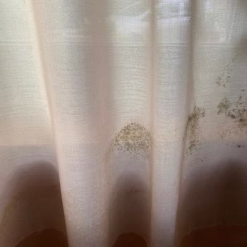 Tatilbudur İtalya Turu Memnuniyetsizliği