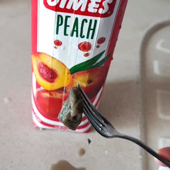 Dimes Gıda Şeftali Aromalı Meyve Suyunda Küflü Cisim