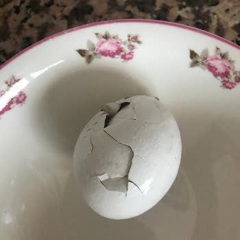 A101 Ercanlar Yumurtadan Ne Çıktığı Belli Değil!