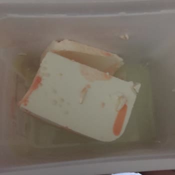 Yörükoğlu Peynirden Zehirlenecektim Çöpe Attım