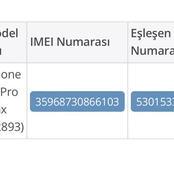 BTK (Bilgi Teknolojileri ve İletişim Kurumu) E Devlette Sim Kartı Eşleştirememe Rağmen Telefon Kapandı