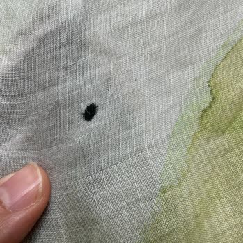 Massimo Dutti Defolu Ürün Satışı