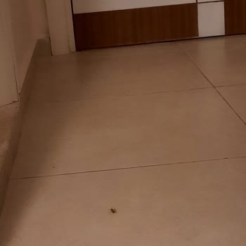 Tatil Sepeti Vaat Edilen Tur İçeriği Yerine Getirilmiyor.