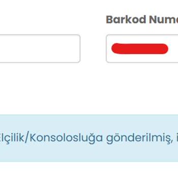 iData Almanya Ulusal Vize 2 Aydır Çıkmıyor