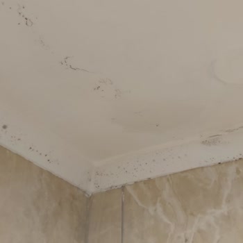 Loxia Comfort Club Side Loxia Hizmet Ve Temizlik Sıfır