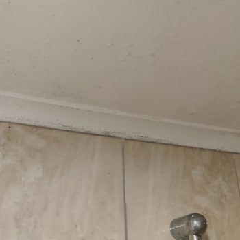 Loxia Comfort Club Side Loxia Hizmet Ve Temizlik Sıfır