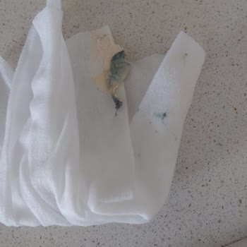 Eker Meyveli Yoğurtta Küf Çıktı