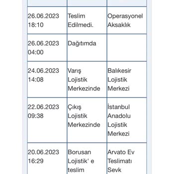 Borusan Lojistik Gelmek Bilmeyen Kargo!