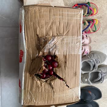 MNG Kargo'nun Yapmış Olduğu Ezik Gelen Ürünlerim