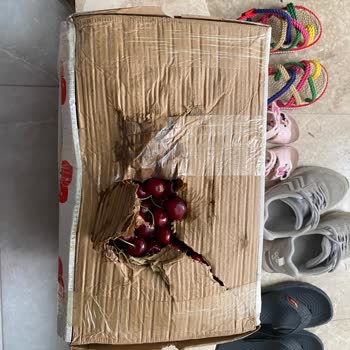 MNG Kargo'nun Yapmış Olduğu Ezik Gelen Ürünlerim