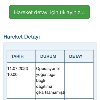 Borusan Lojistik Kargo Ürünümü Getirmiyor