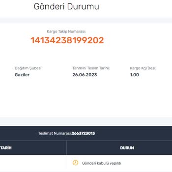 Sürat Kargom Hala Yola Bile Çıkmadı