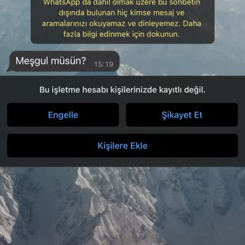 WhatsApp'tan +1 Kodlu Mesaj
