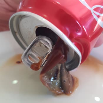 Coca-Cola Nın İçinden Çıkan Nedir Bir Açıklama Yapar Mısınız.