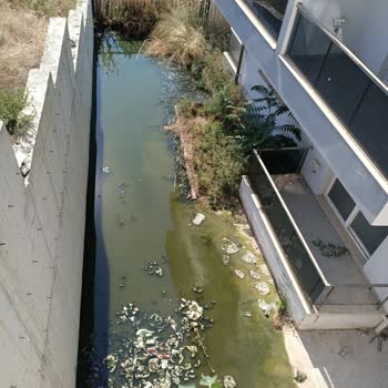 Menemen Belediyesi Lağım Rögar Taşması Nedeniyle Kokudan Nefes Alamıyoruz